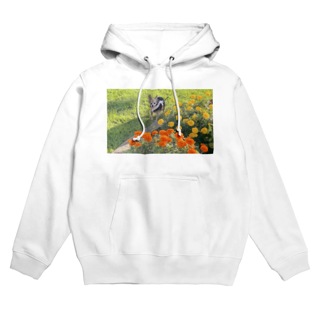 マリアのおみせのお花とマリア Hoodie