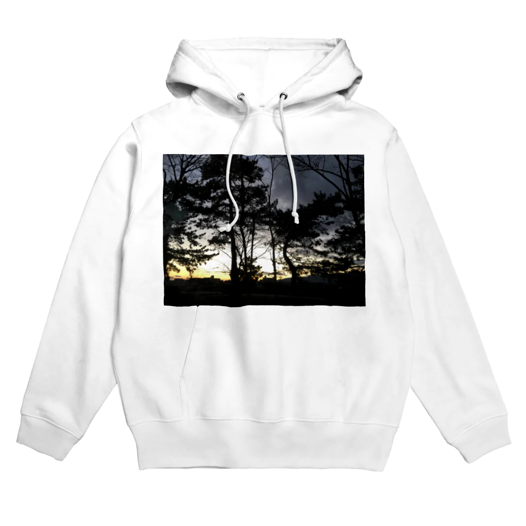 Tamzooのシックな景色 Hoodie