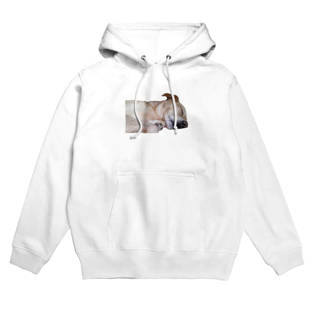 ジョン🐕とピー🐇のジョンくん Hoodie