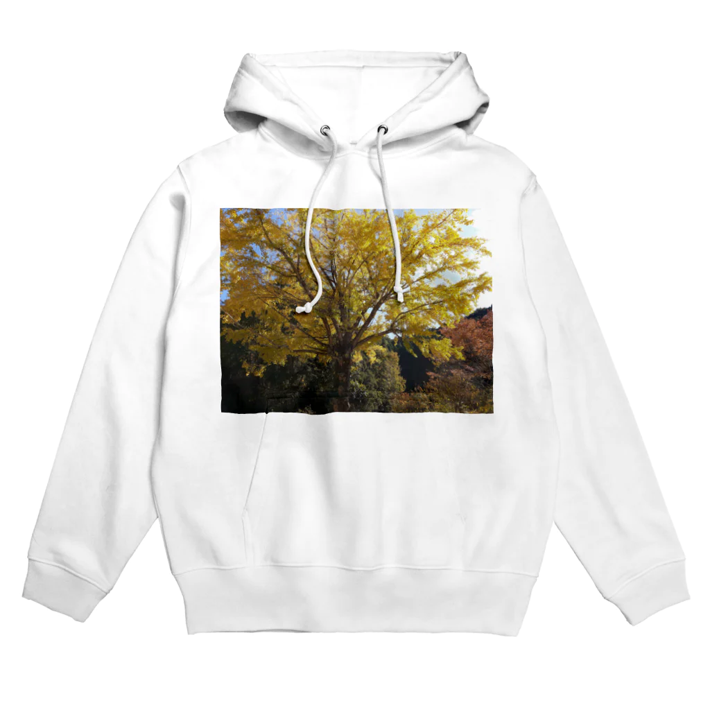 うたのイチョウの木 Hoodie