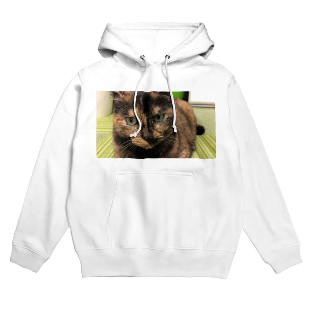 愛猫のグッズが欲しいのオレのミーナ Hoodie