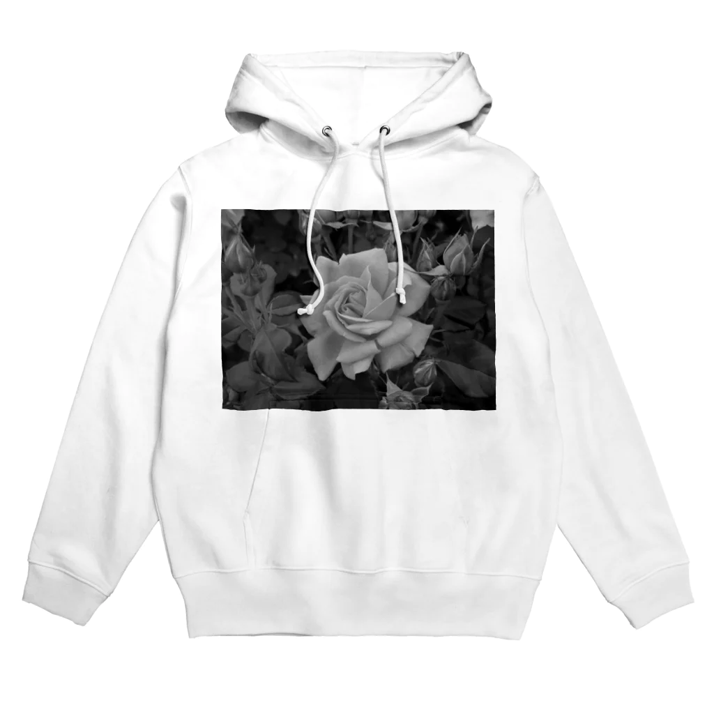 彩龍の或るグレイ Hoodie