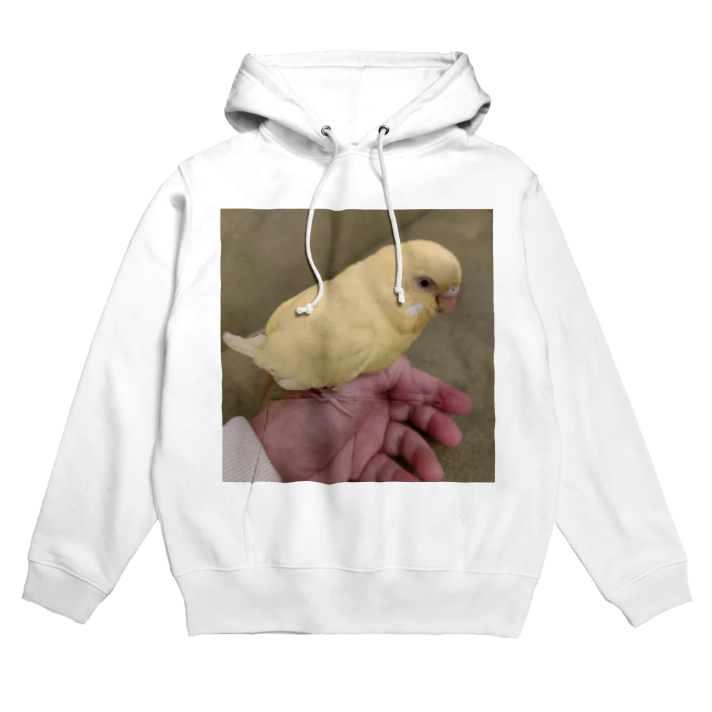 landscapeのみーすけちゃん Hoodie