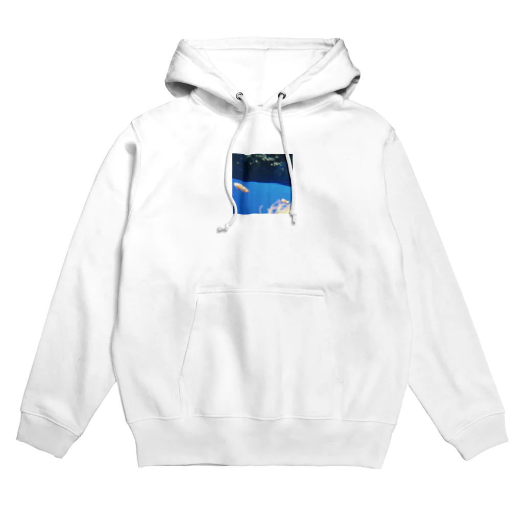 pachiriのtrimming/sakana Hoodie