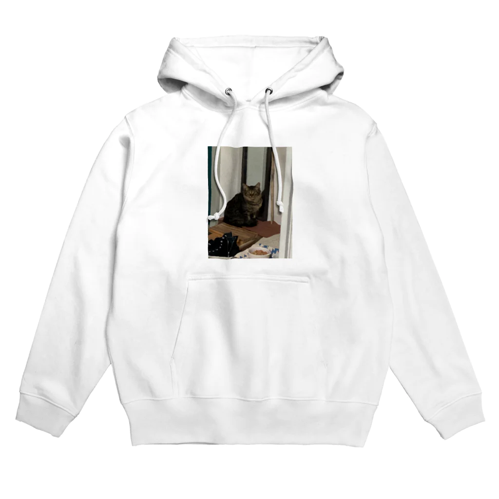 neko_00_nekoのマダラくん Hoodie