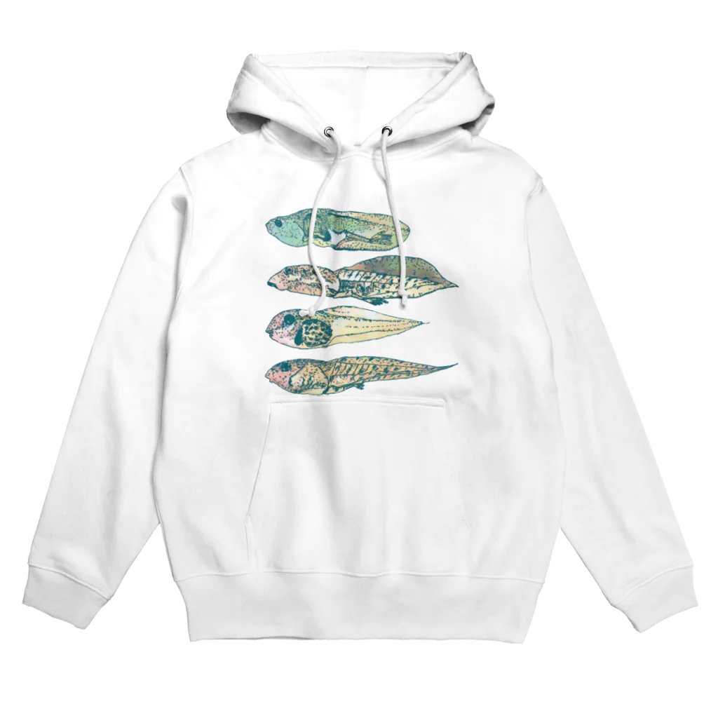 さちこの生物雑貨のおたま Hoodie