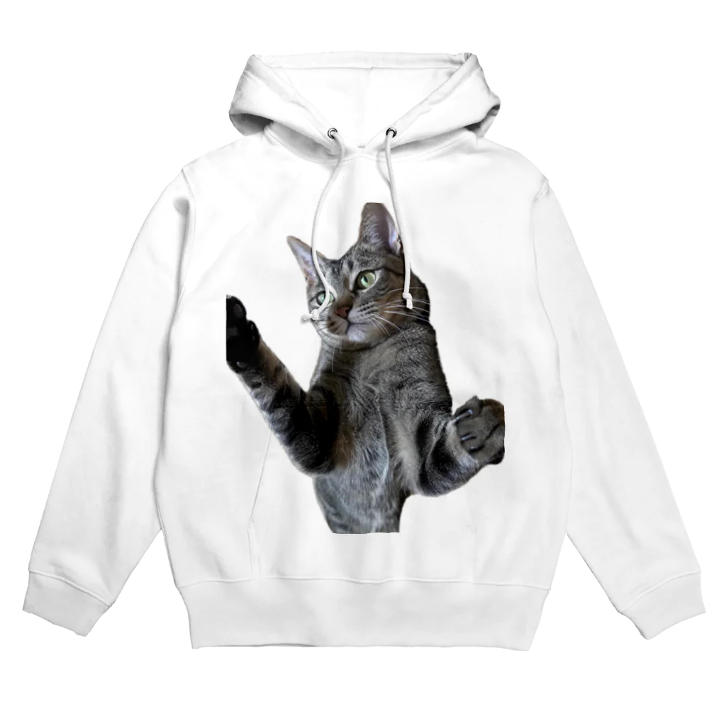 おぬしちゃんのおいおい！なんじくん Hoodie