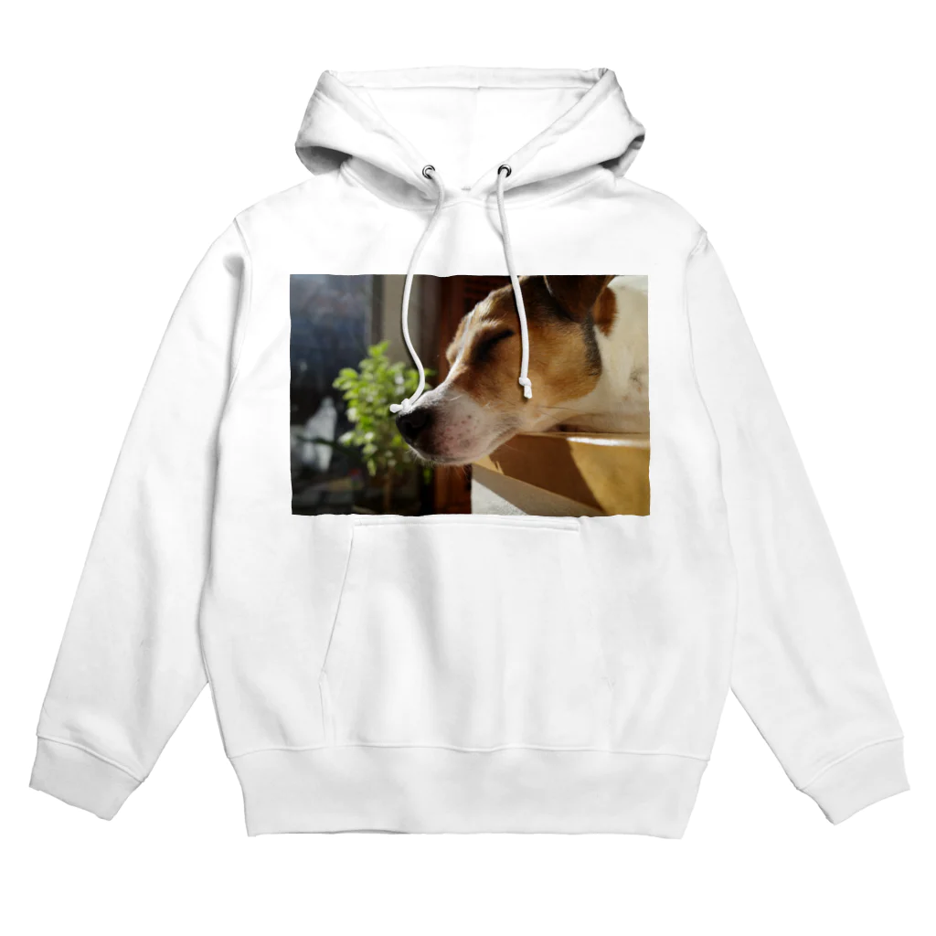 Vincent Bowwowの薄明光線ビンセントくん Hoodie