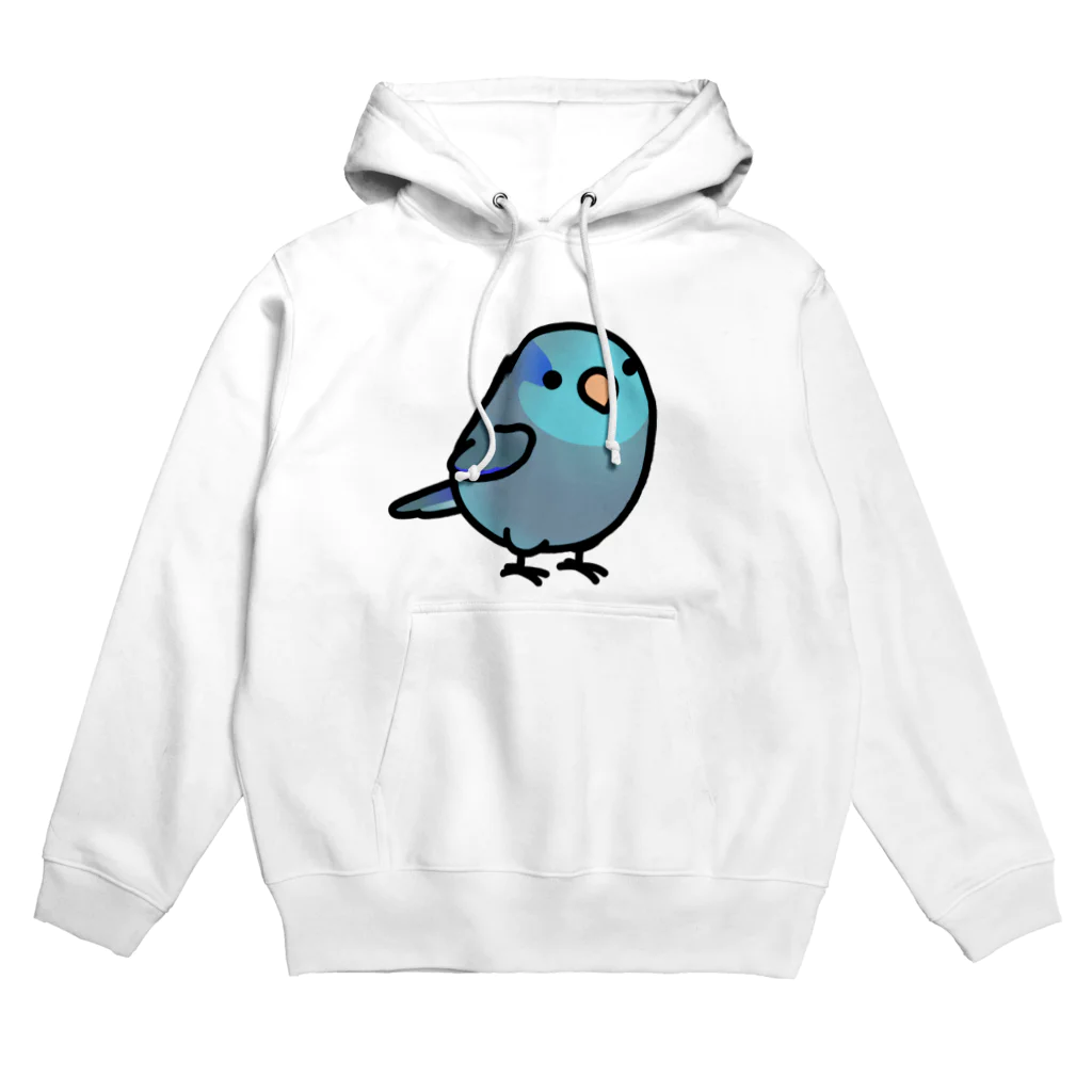 Cody the LovebirdのChubby Bird マメルリハ Hoodie