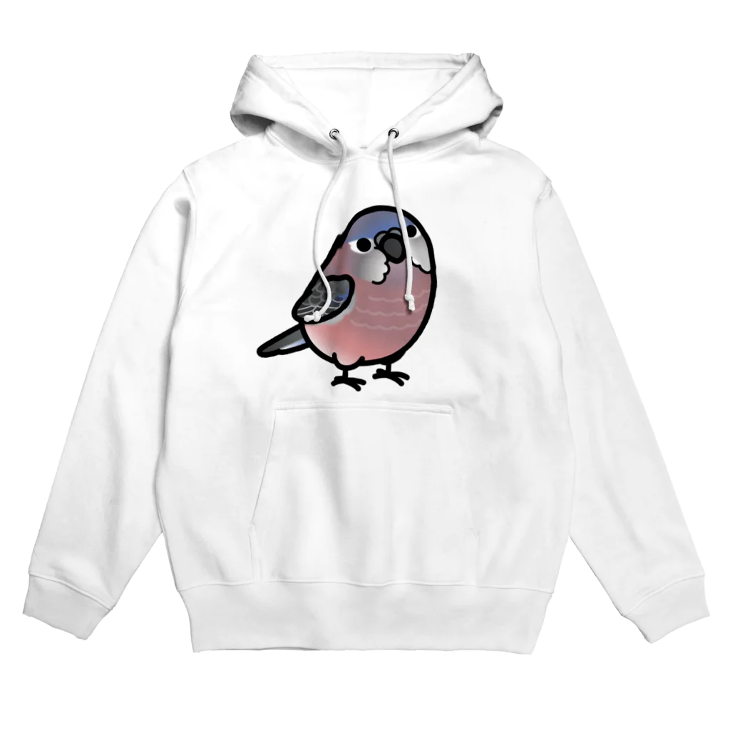 Cody the LovebirdのChubby Bird　アキクサインコ Hoodie