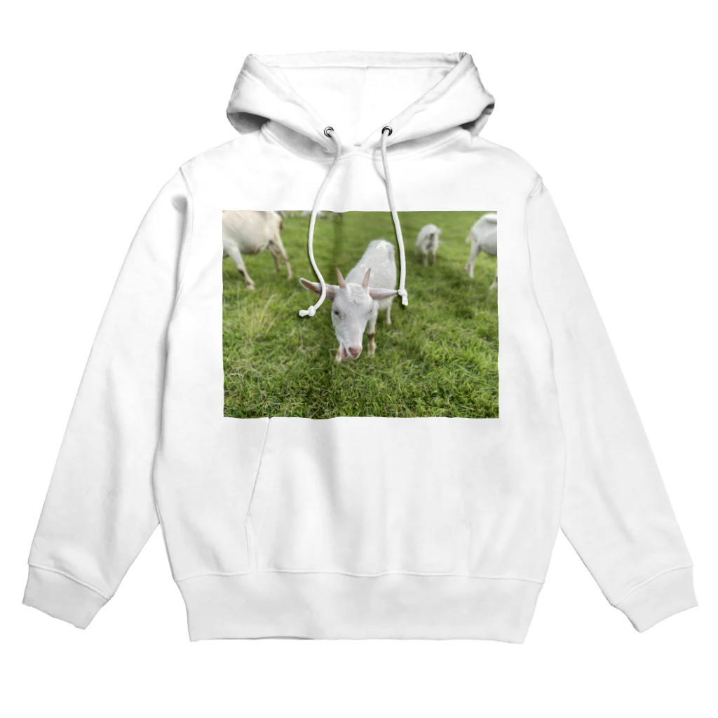 MARiNECCOのgoat Hoodie