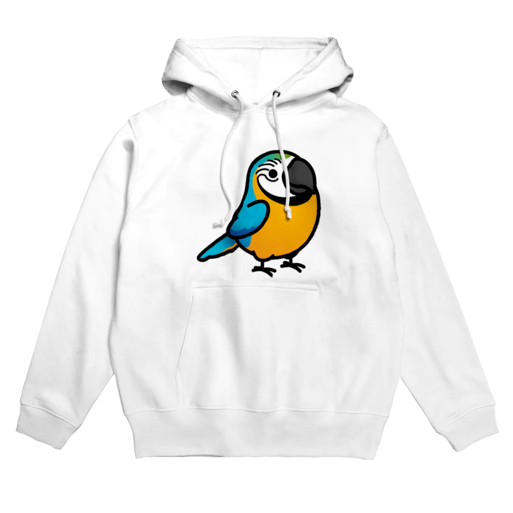 Cody the LovebirdのChubby Bird ルリコンゴウインコ Hoodie