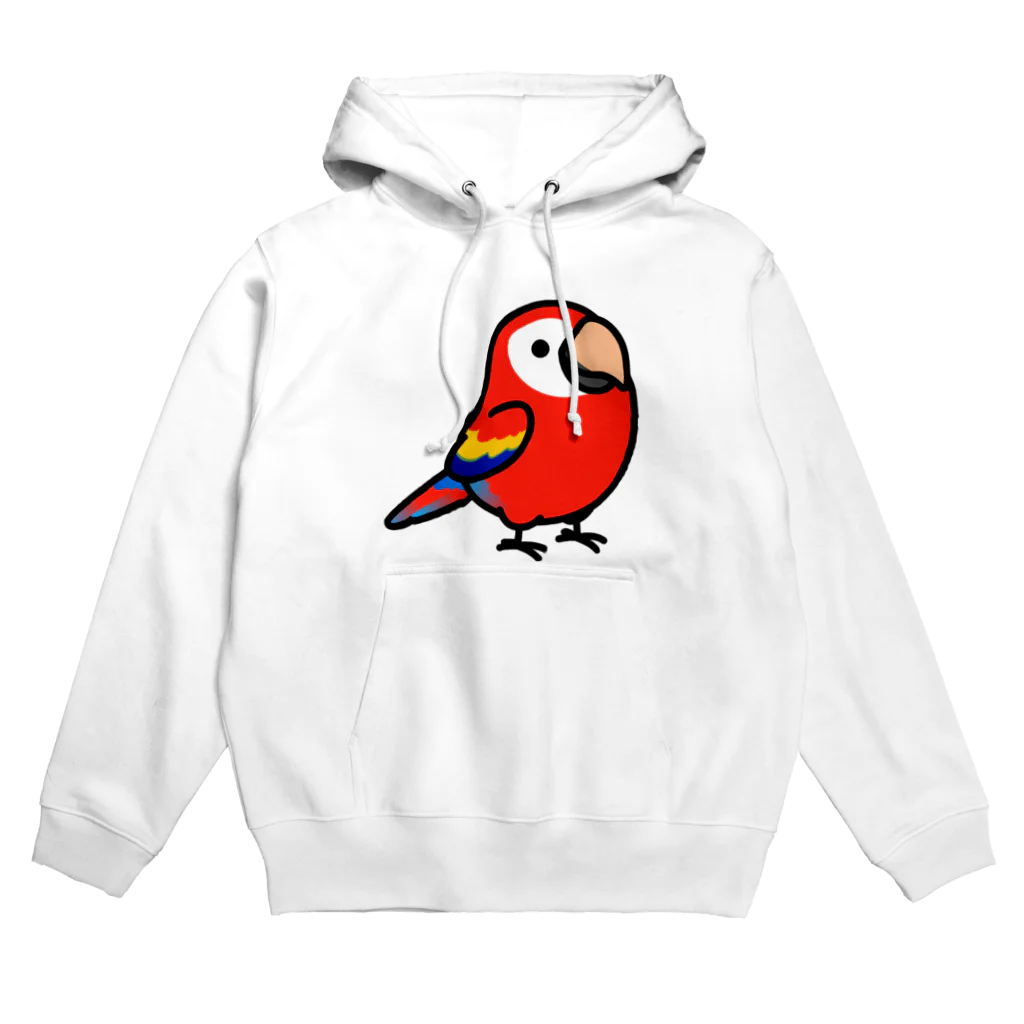 Cody the LovebirdのChubby Bird アカコンゴウインコ Hoodie