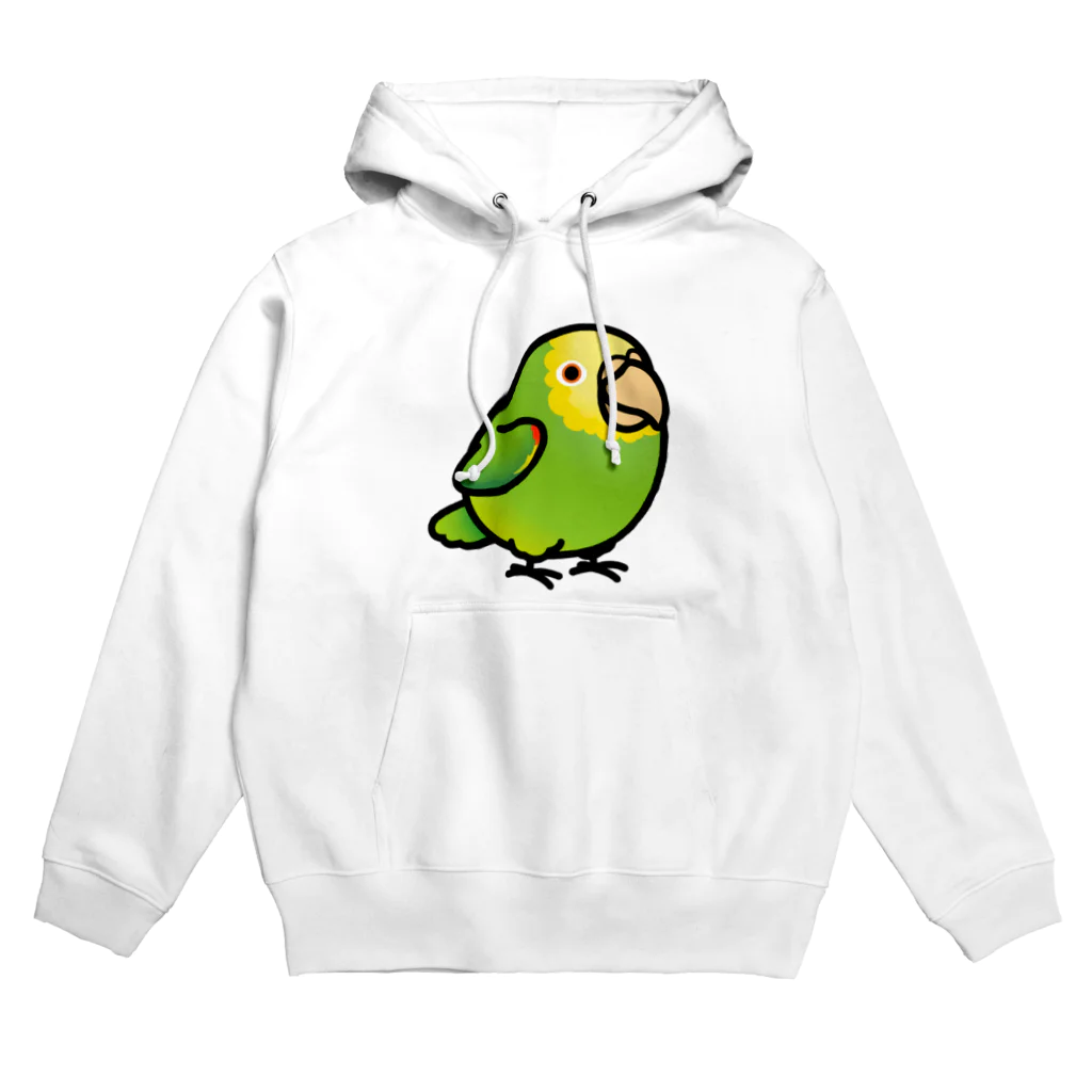 Cody the LovebirdのChubby Bird オオキボウシインコ Hoodie