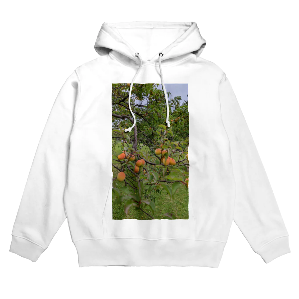 どらこん商店の梅柄 Hoodie