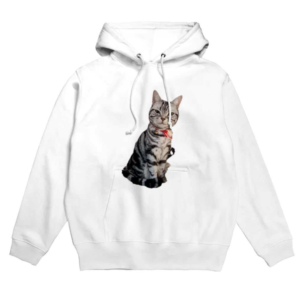 トォーラ🐈の猫のトォーラ Hoodie