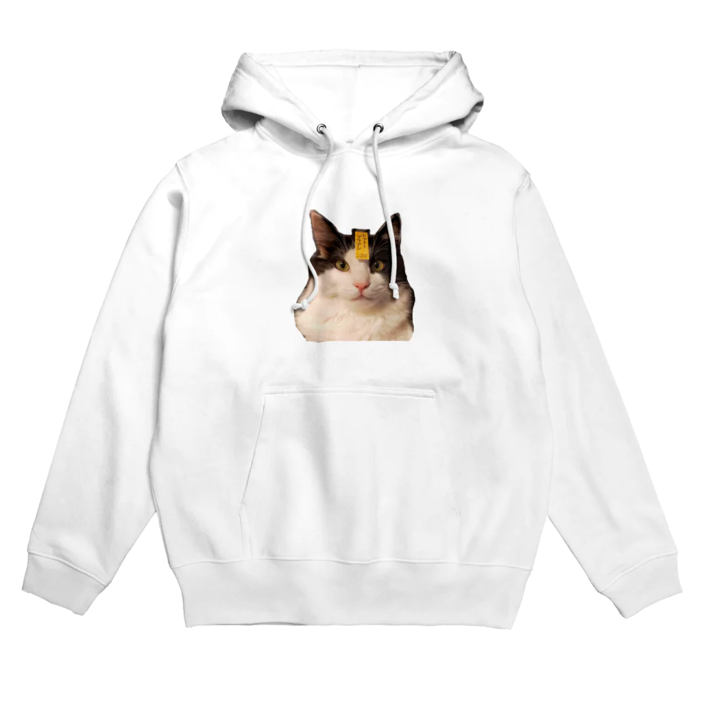 コンドーショップのシャトーブリアン猫 Hoodie