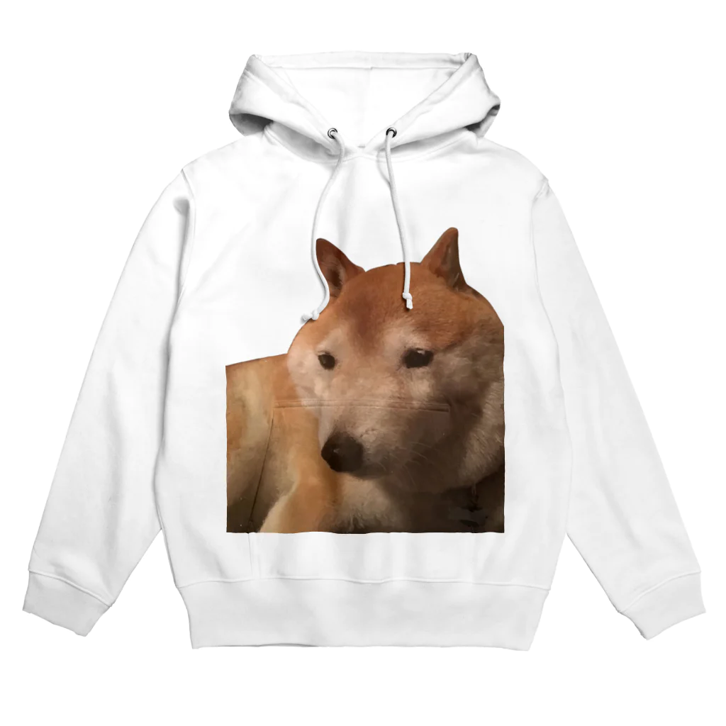 godzillaの面白い犬 Hoodie