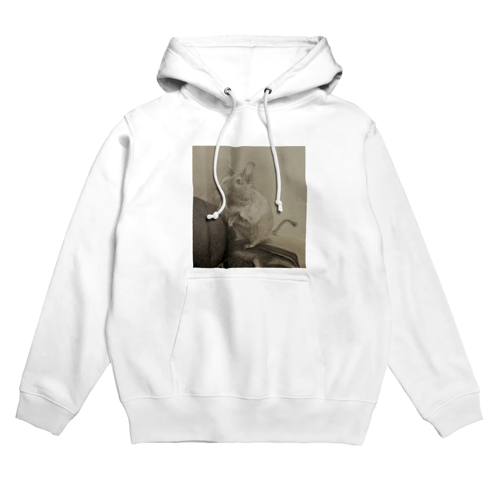 YOSHI-HEY ARTのdegu. Hoodie