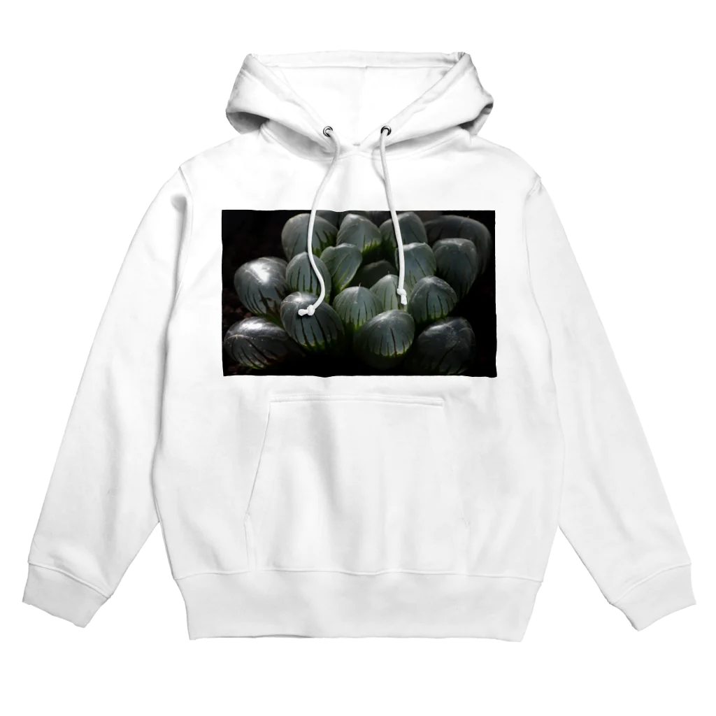 aomatuのハオルチア　オブツーサ系4「ドドソン紫オブツーサ」 Hoodie