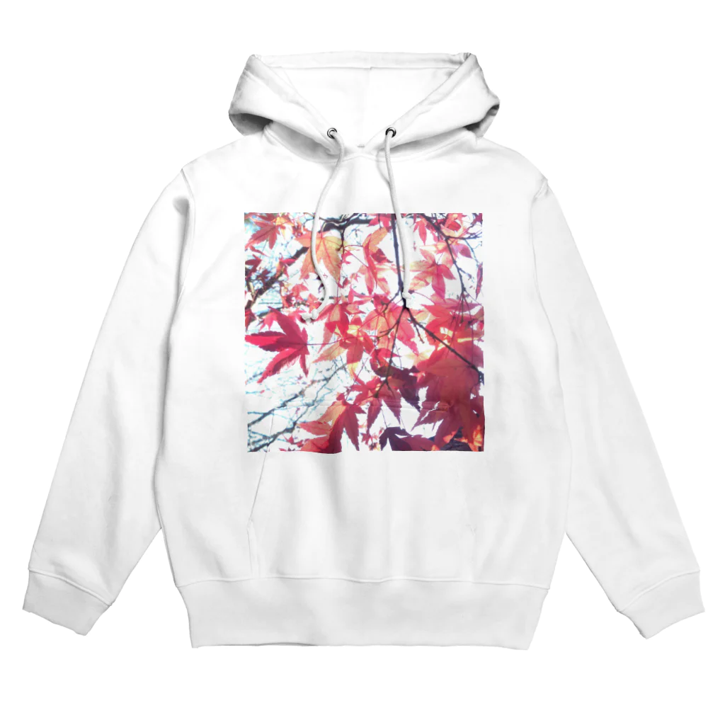 しのの紅葉してる楓 Hoodie