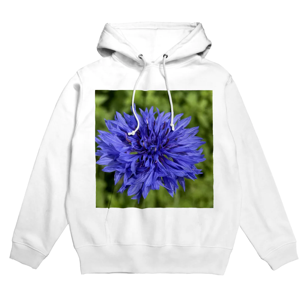 あゆのしおやきのヤグルマギク(青) Hoodie