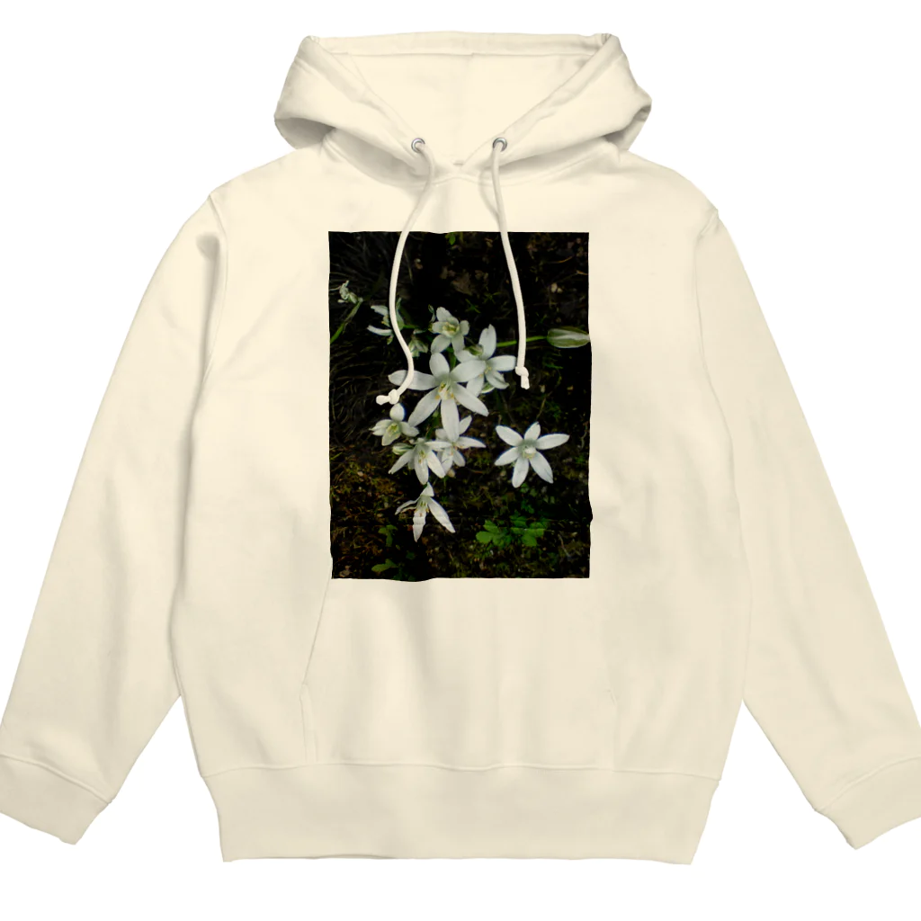 空屋　sorayakusakaの200806290934000　これ何の花 Hoodie