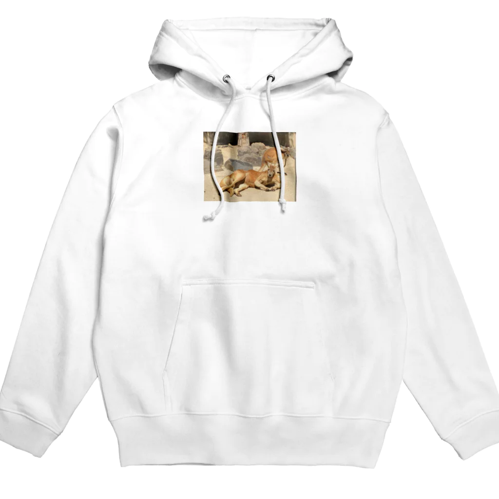 むっちょのムキムキカンガルー Hoodie