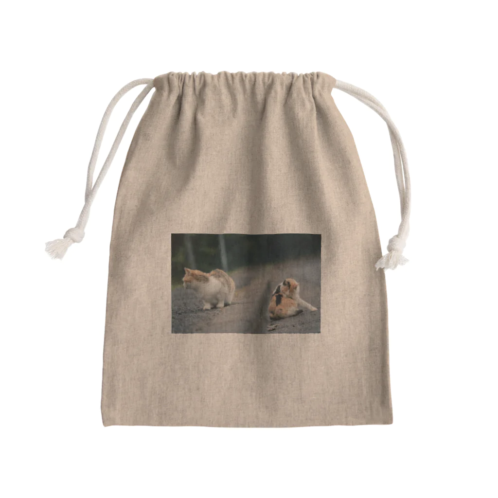 707の2匹の猫ちゃん Mini Drawstring Bag