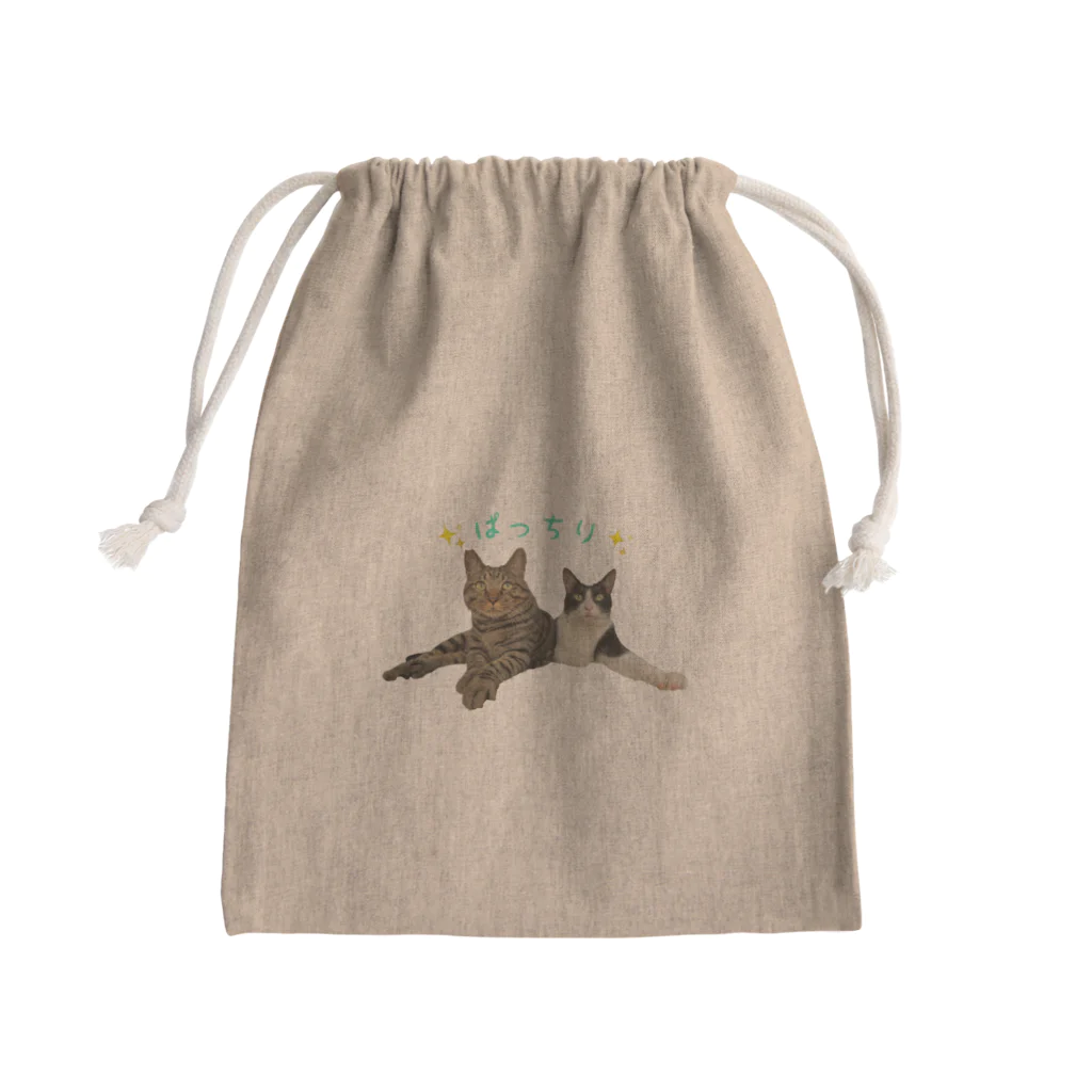 えみちーず（元野良と保護猫の為に🐾）のぱっちり仲良しコンビ(キジトラ＆ハチワレ) Mini Drawstring Bag