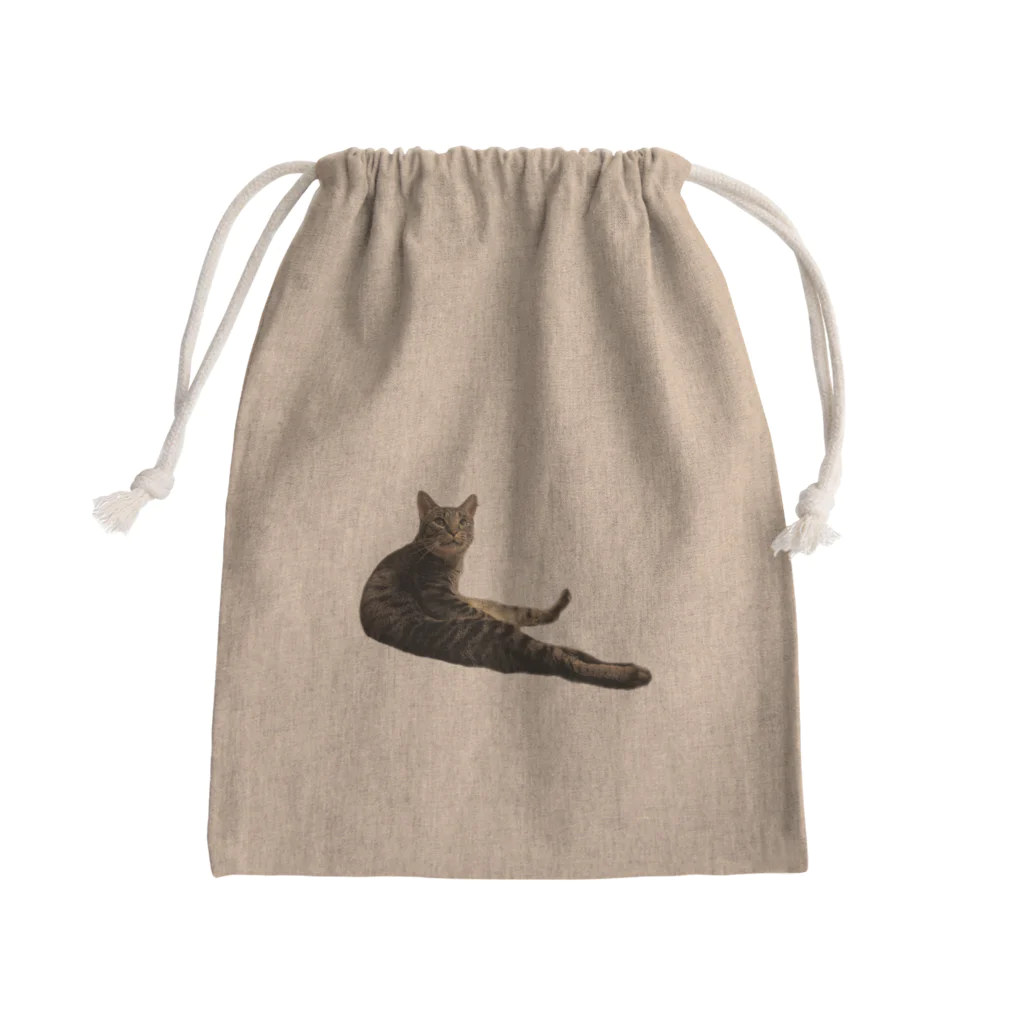 ワヅのﾈｺﾁｬﾝ（猫背） Mini Drawstring Bag