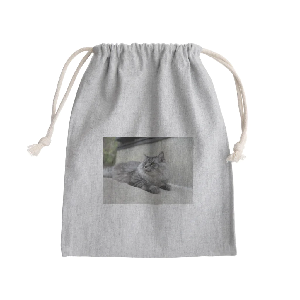 保護猫ファミリーの獅鳳コレクション Mini Drawstring Bag