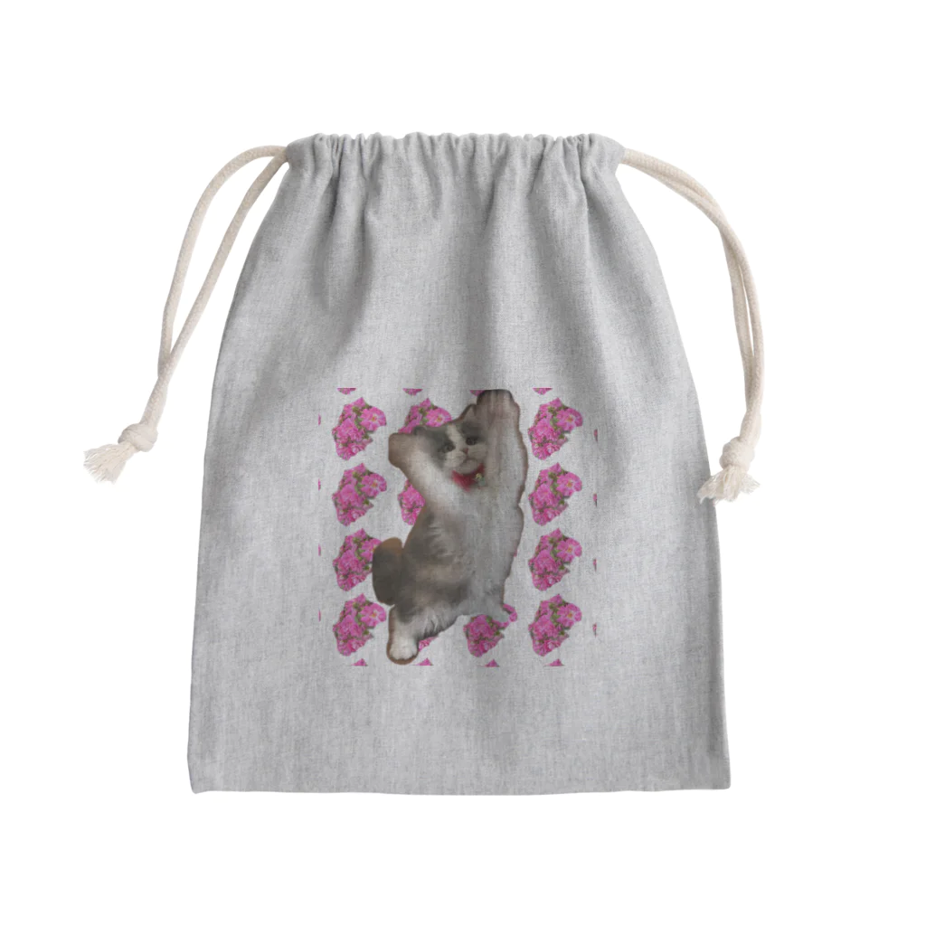 猫のお姫様の姫とドロシーパーキンス Mini Drawstring Bag