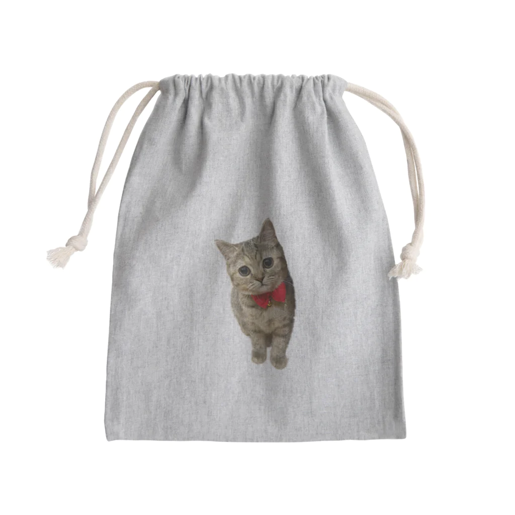 チャプチェ🐾【癒し処】のあざといチャプチェ Mini Drawstring Bag