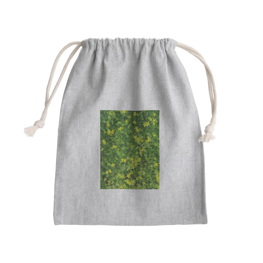 シアン猫の植物図鑑の癒しグリーンセダム Mini Drawstring Bag