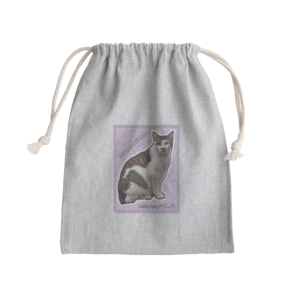 nekousagi*∩..∩のトラミ兄ちゃん自画像？ピンク【nekousagi*∩..∩ロゴ入り】 Mini Drawstring Bag