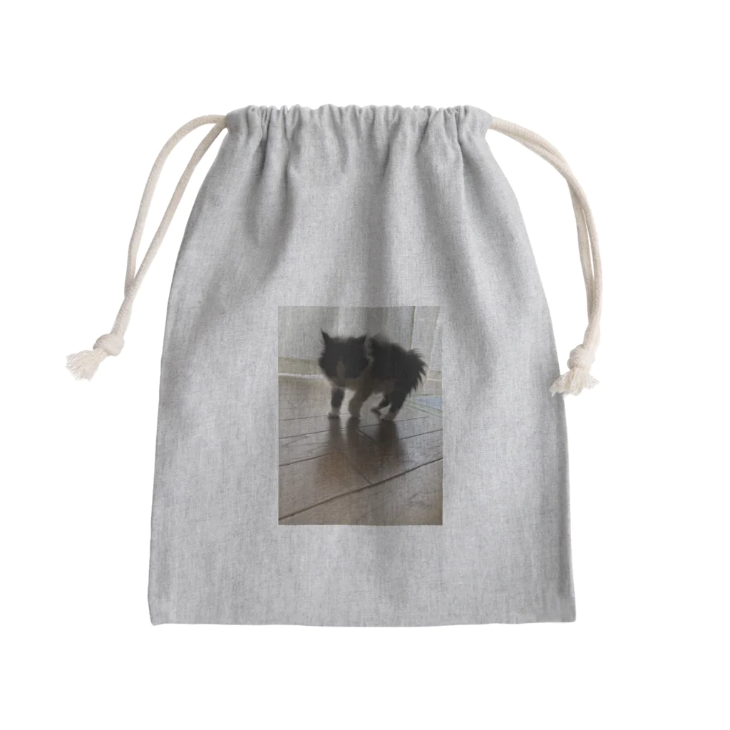 センチメンタルリボンちゃんの逆光逆毛猫 Mini Drawstring Bag