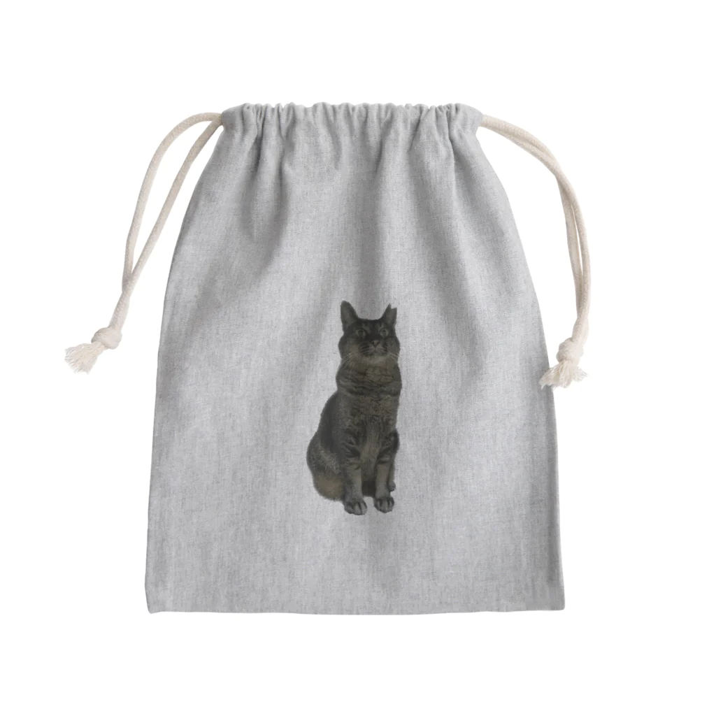 趣味の店 あねもやしのびっくり猫シリーズ Mini Drawstring Bag