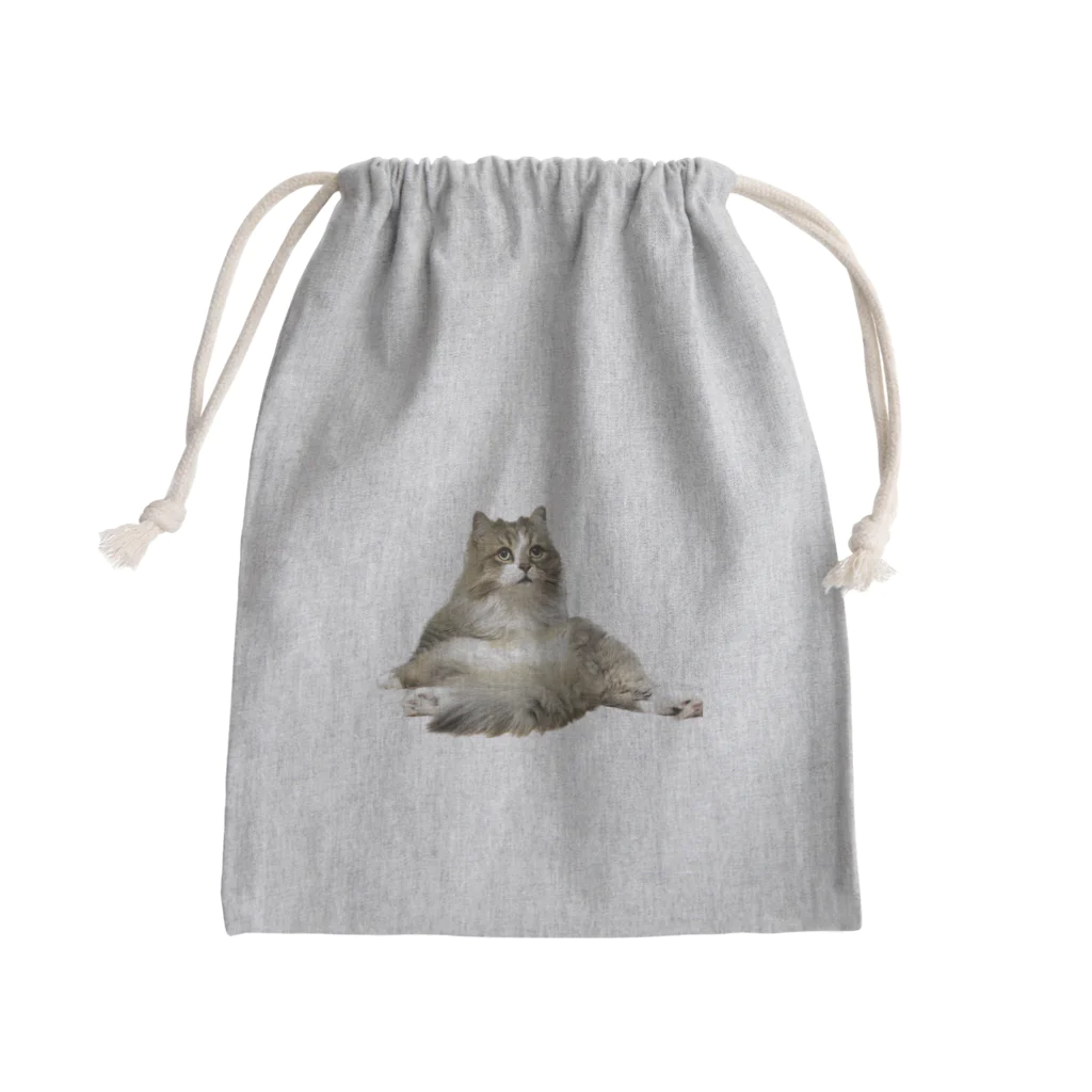 onarisanちのにゃんこたちのおすわりこむにゃんこ Mini Drawstring Bag