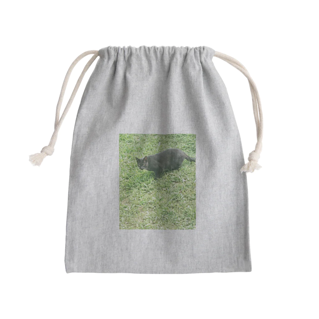 天光のねこ部屋の黒猫カカオの庭 Mini Drawstring Bag