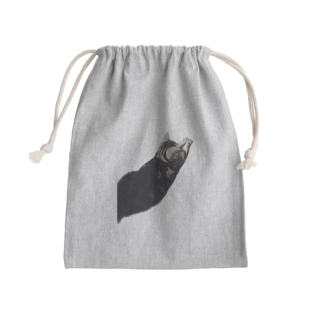 アメショーのひめちゃんのアメショーのひめちゃん③ Mini Drawstring Bag