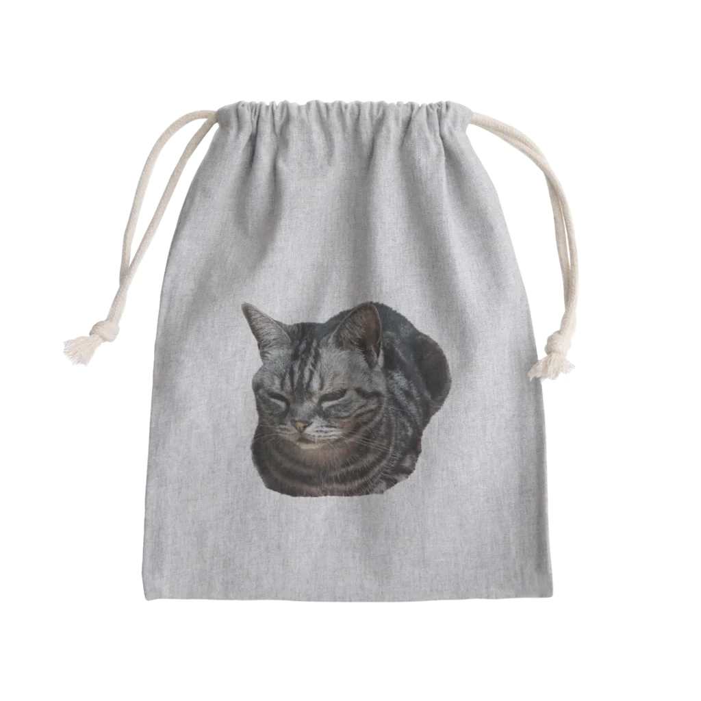 アメショーのひめちゃんのアメショーのひめちゃん② Mini Drawstring Bag