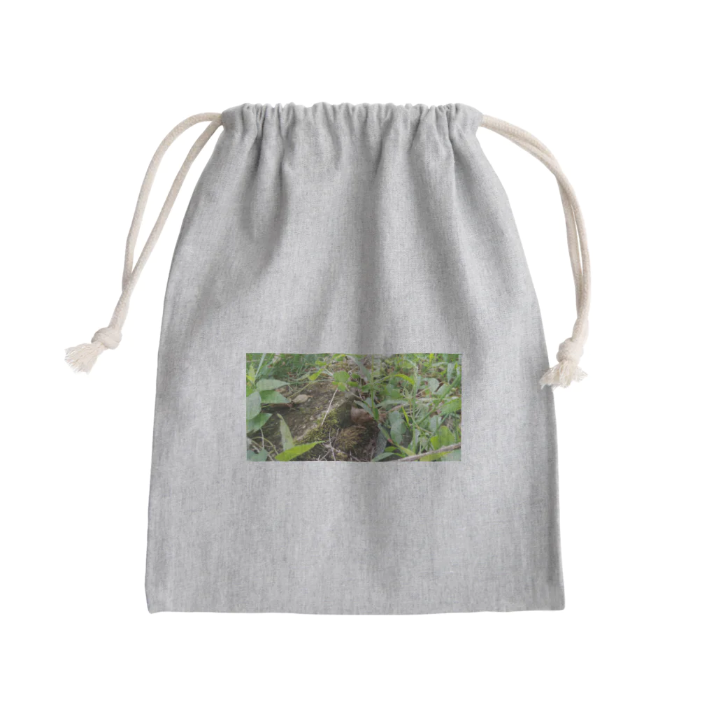 tizujonoboukenの自然豊か Mini Drawstring Bag