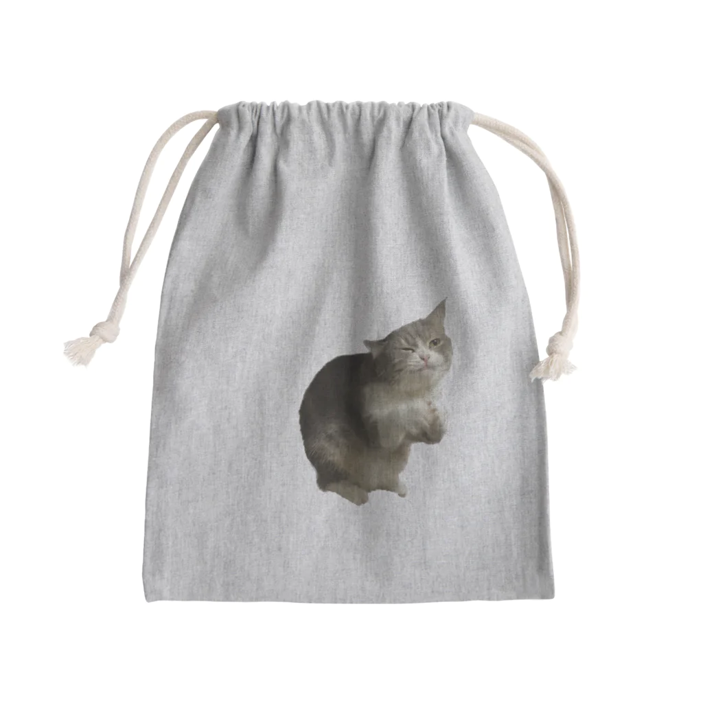 むっちり猫のむっちり丸のちょうだい！ミロ姫！ Mini Drawstring Bag