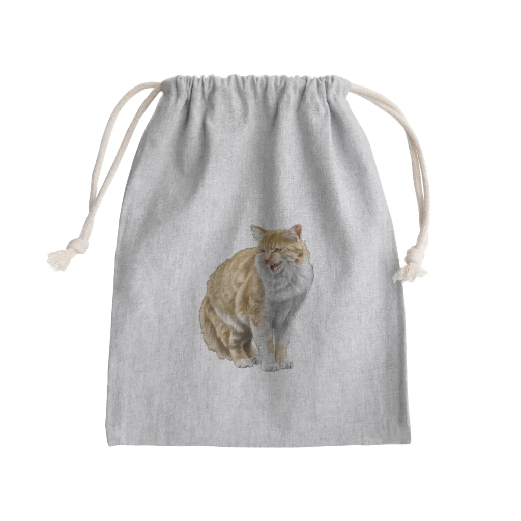 もっち（mocchi）のキツネコちゃん(修正版) Mini Drawstring Bag