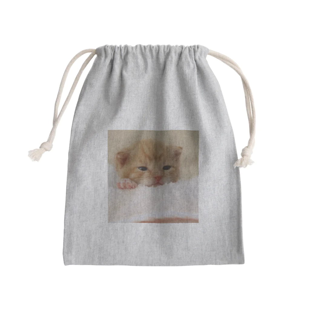 白銀屋の可愛い猫🐱 Mini Drawstring Bag