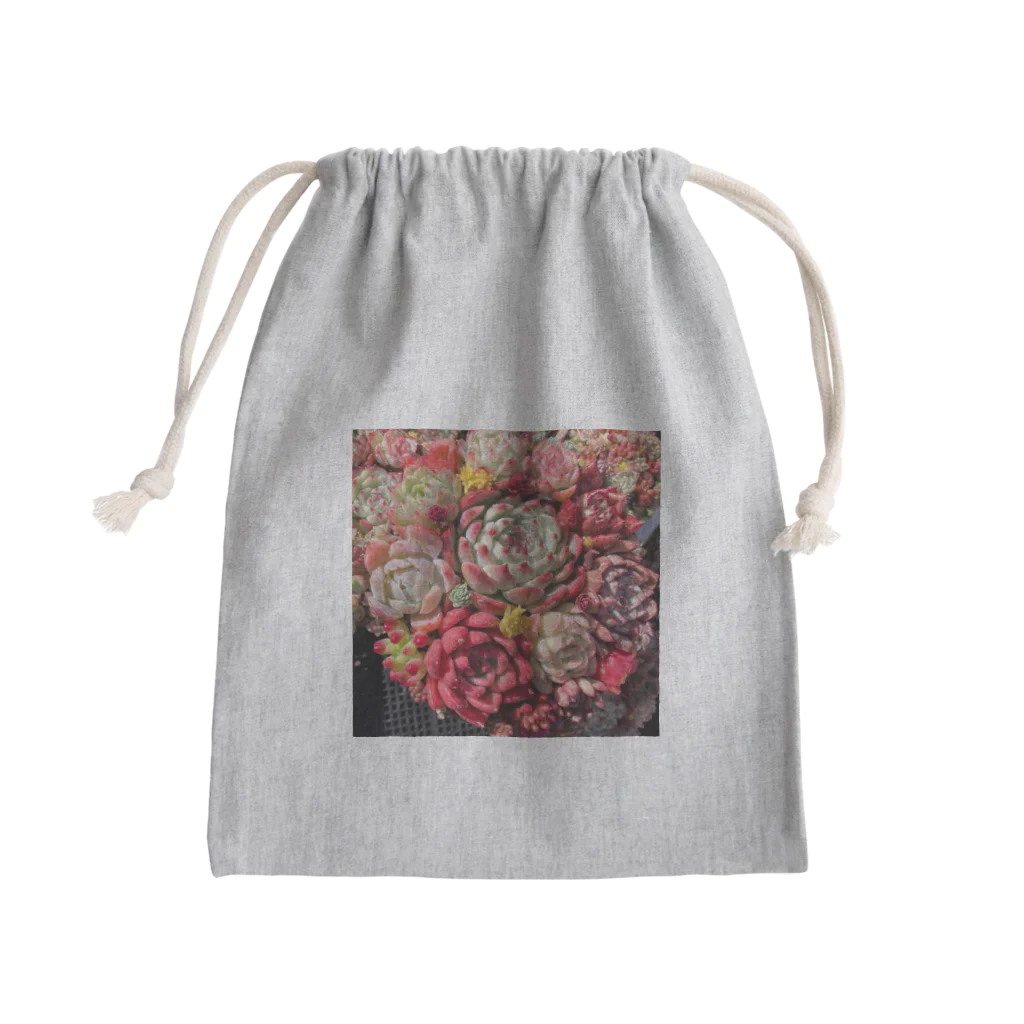 Echeveria_Masterの華やかなエケベリア Mini Drawstring Bag