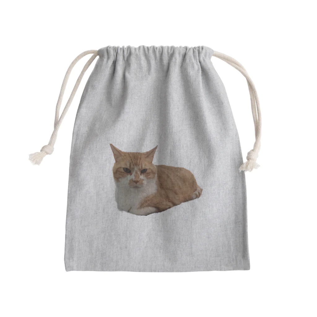 dszsdfdのこうばこねこねこ Mini Drawstring Bag