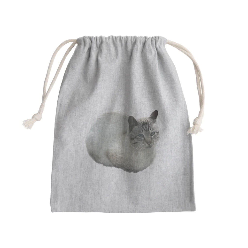 筋肉至上主義者のワイの婆ちゃん家のネッコ Mini Drawstring Bag