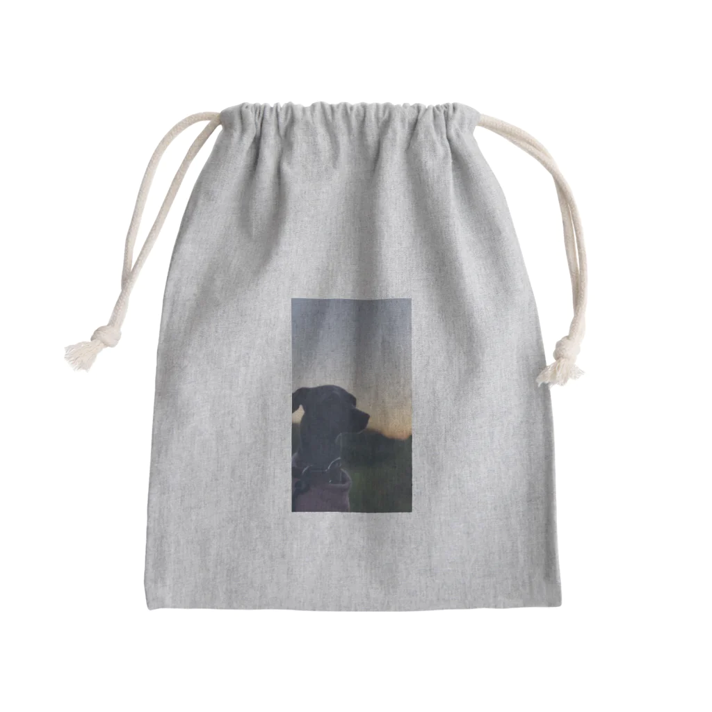 hono想(そう)イタグレ日記の黄昏れる想 Mini Drawstring Bag